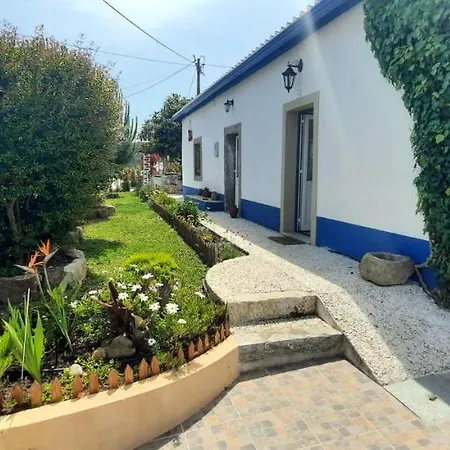 Casa Palavras Мафра