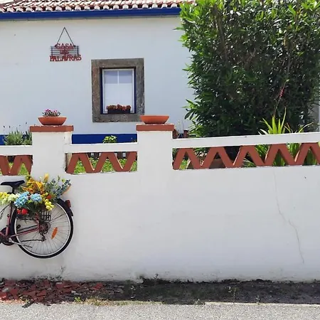 Casa Palavras Мафра